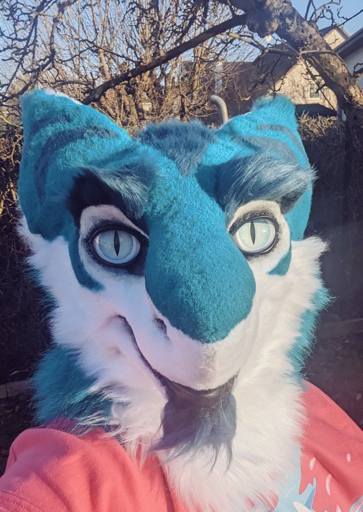 SkullsFeathers's tweet photo. Happy #FursuitFriday. Today the sales post is going live for this baby. 

This brand new Sergal Head is now looking for a loving home.  It is the newest suit I have just built. It comes with a few features. https://t.co/HqtCsISQqg