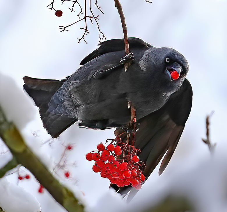 Photographer (@photo5065) on Twitter photo 