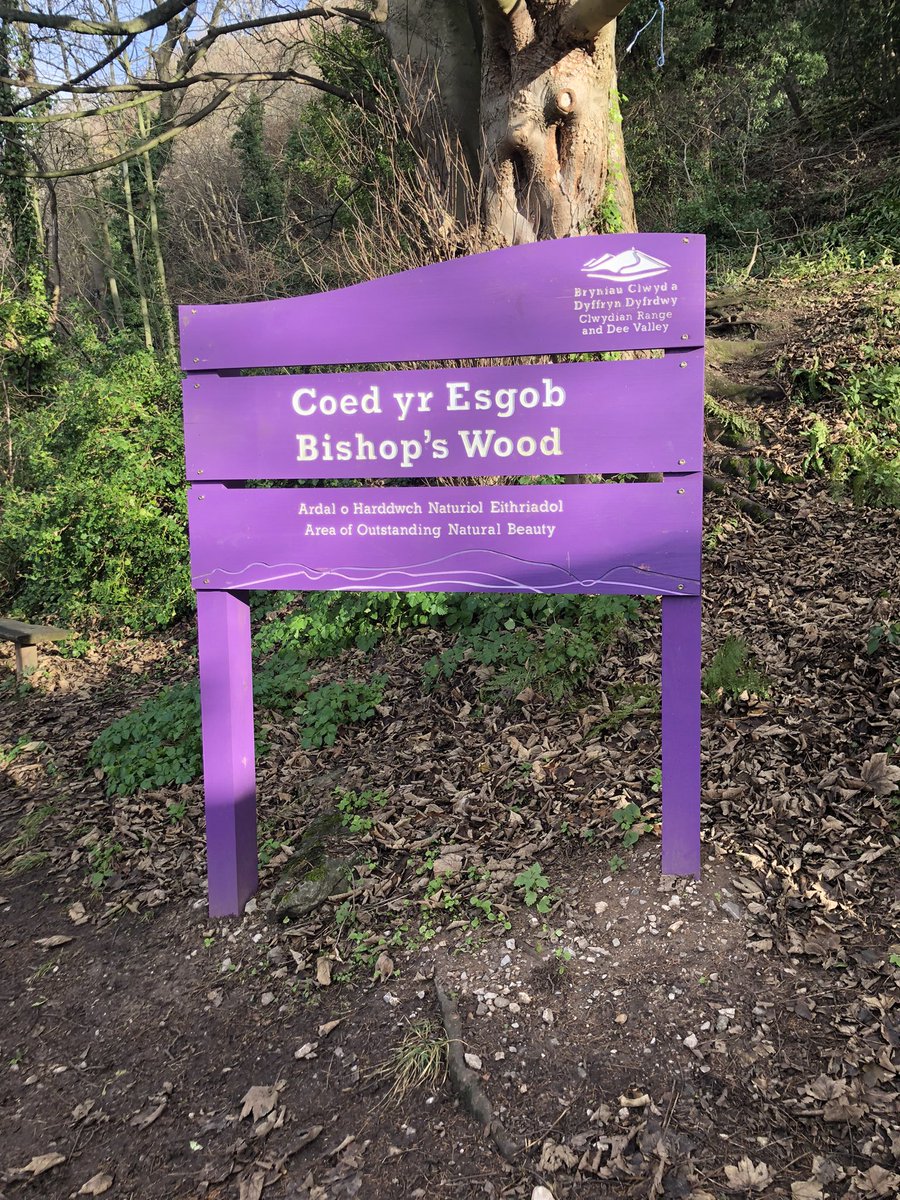 Had a nice little local walk up graig fawr and through bishop’s wood yesterday. 
#winterwalks #cymru #meliden