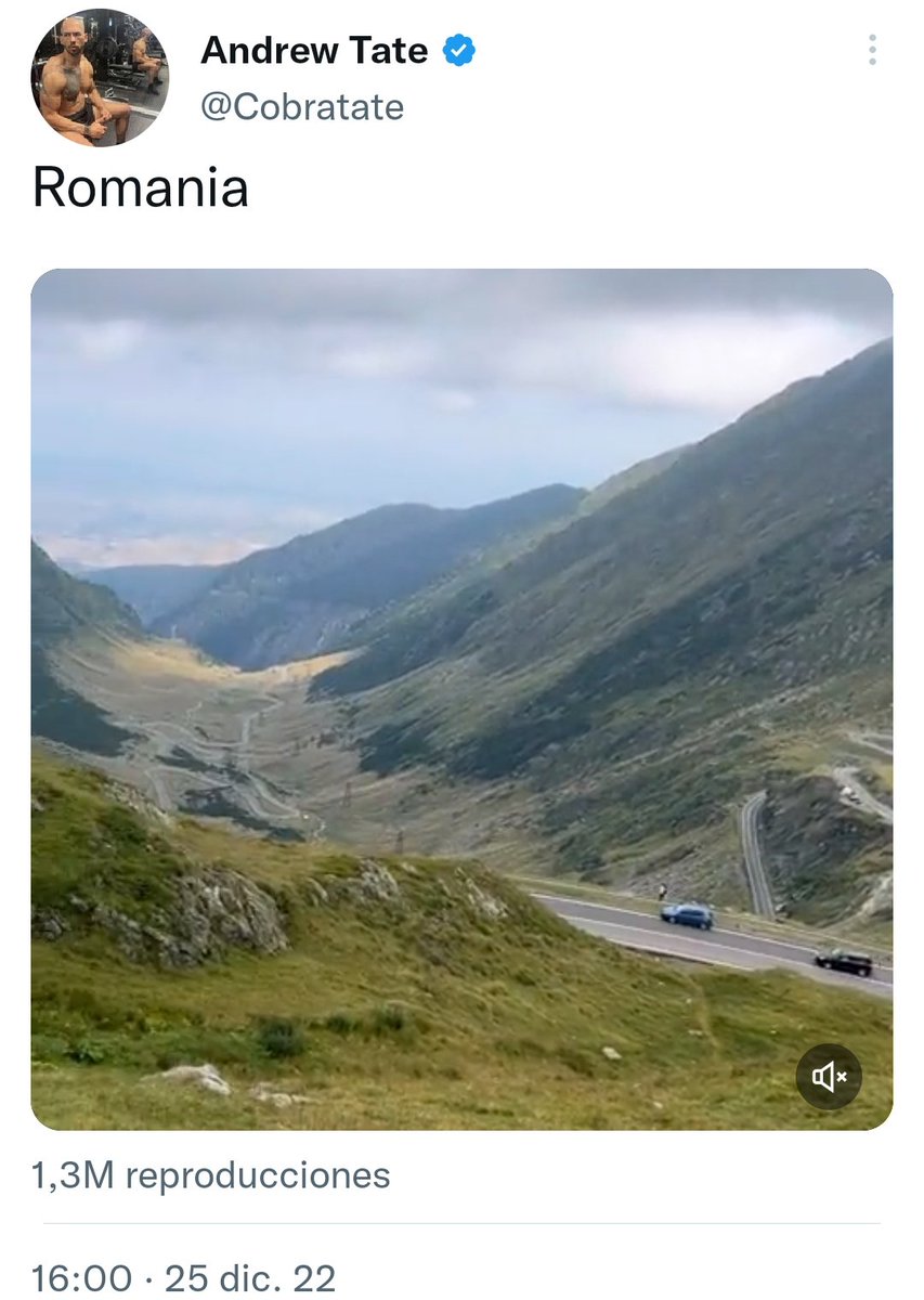 JesusArroyoFer's tweet photo. ESTRATEGIA DE MANIPULACIÓN ES que te digan que han detenido a Andrew Tate gracias a descubrir que está en Rumanía por el vídeo donde se mete con Greta Thunberg, ya que aparece una marca de pizza rumana... Y no por por su tuit de 1 millón de visitas donde dice que está en Rumanía. https://t.co/sFglRFGzEJ