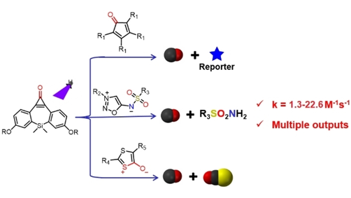 ChemBioChem's tweet image. Photoclick and Release: Co-Activation of CO and a Fluorescent Self-Reporter, COS or Sulfonamide with Fast Kinetics (Wu, Ding, Ji) #Soochow University onlinelibrary.wiley.com/doi/10.1002/cb…