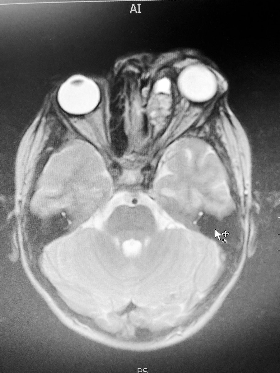 Dr. Dario Teplisky tweet media