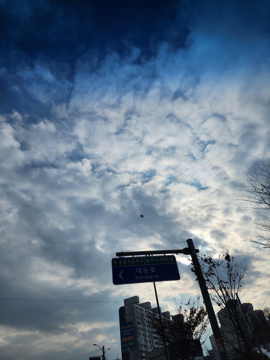 ayoritsune's tweet photo. かまぼこの素材でできた麺とトッポッキ
おいしかった
釜山でしか買えないらしい
明日は日本へ帰る

쌀가루 아니고 어묵으로 만들어진 면과 떡볶이
맛있었어요
부산에서만 살수 있는것 같아
내일 일본에 갈 거예요 https://t.co/icpPWMx9Ot