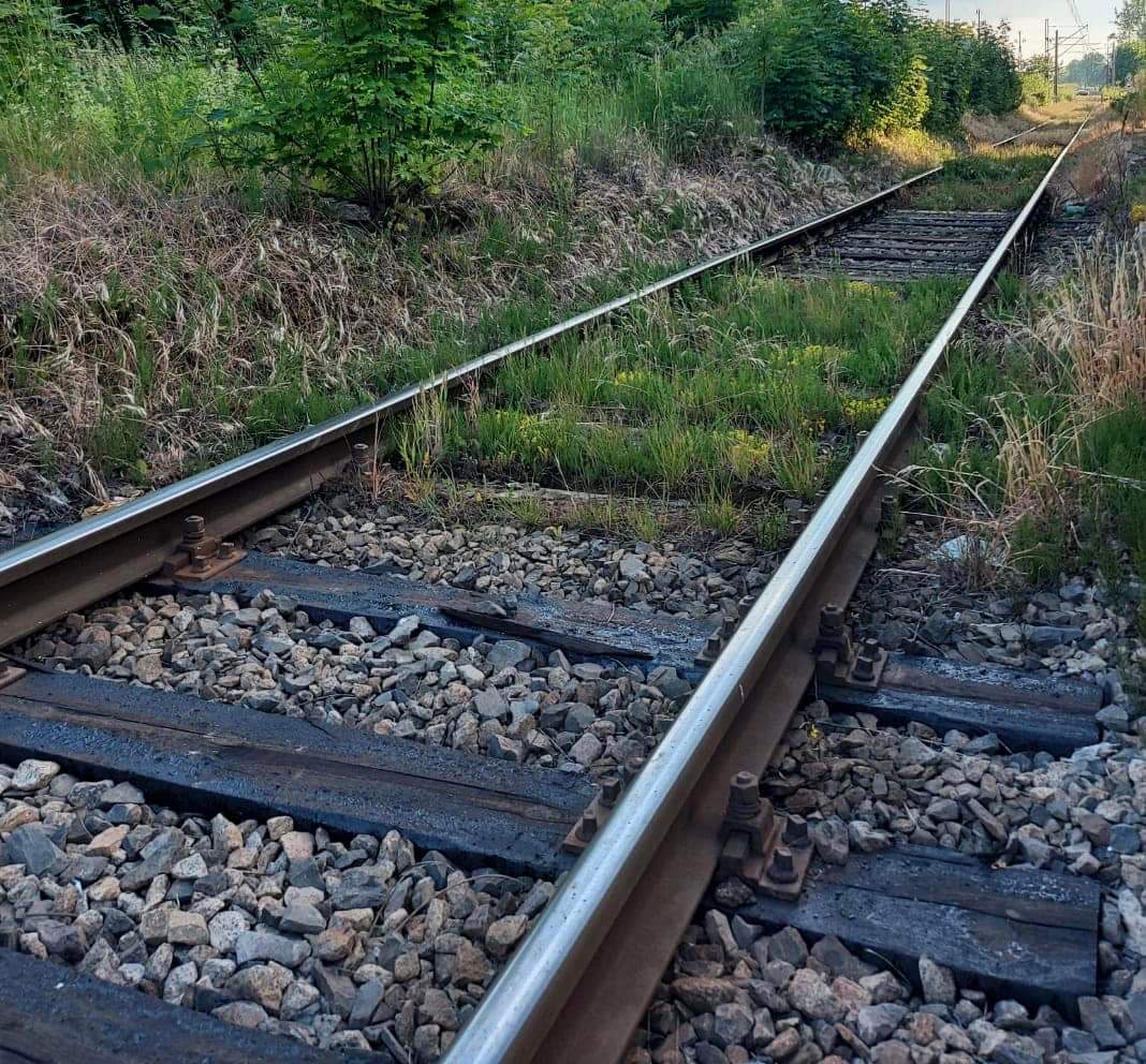 PrzybylskiCez's tweet photo. Dolnośląska Służba Dróg i Kolei we Wrocławiu wybrała wykonawcę rewitalizacji linii kolejowej z Mirska do Świeradowa Zdroju. Obecnie trwają już prace na odcinku Gryfów Śląski – Mirsk. Konsekwentnie realizujemy nasz projekt przywracania linii kolejowych z myślą o Dolnoślązakach. https://t.co/XimdGopBOX