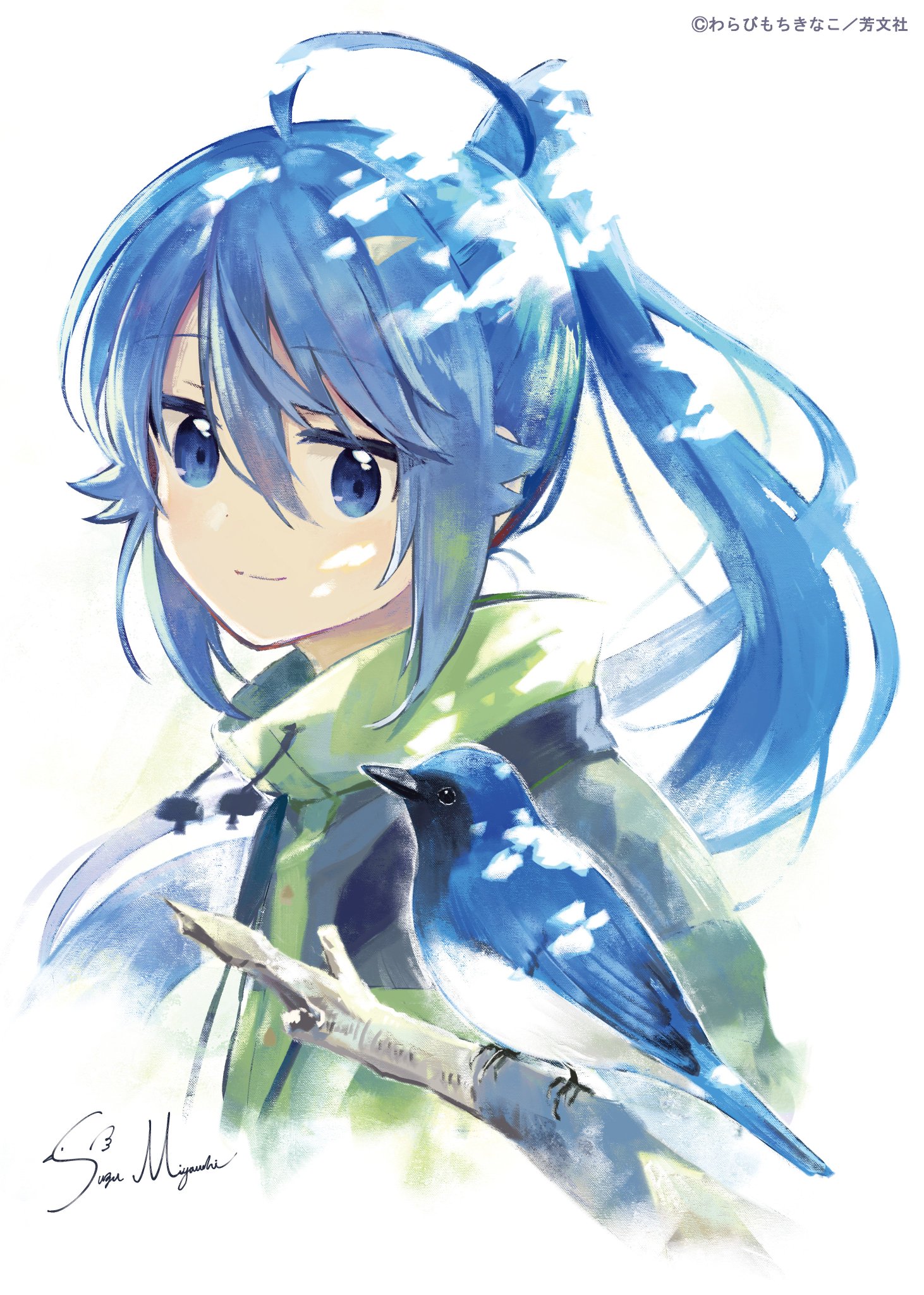 ☆W特典付き [わらびもちきなこ] しあわせ鳥見んぐ 1巻＋バーダー しあわせ鳥見んぐ コミック 1-2巻セット | わらびもちきなこ |本