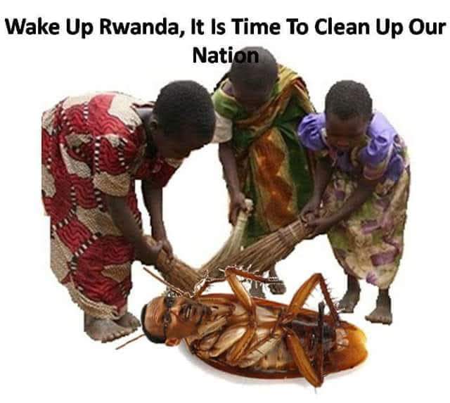 Dr Chantal ABIMUHIRA tweet media