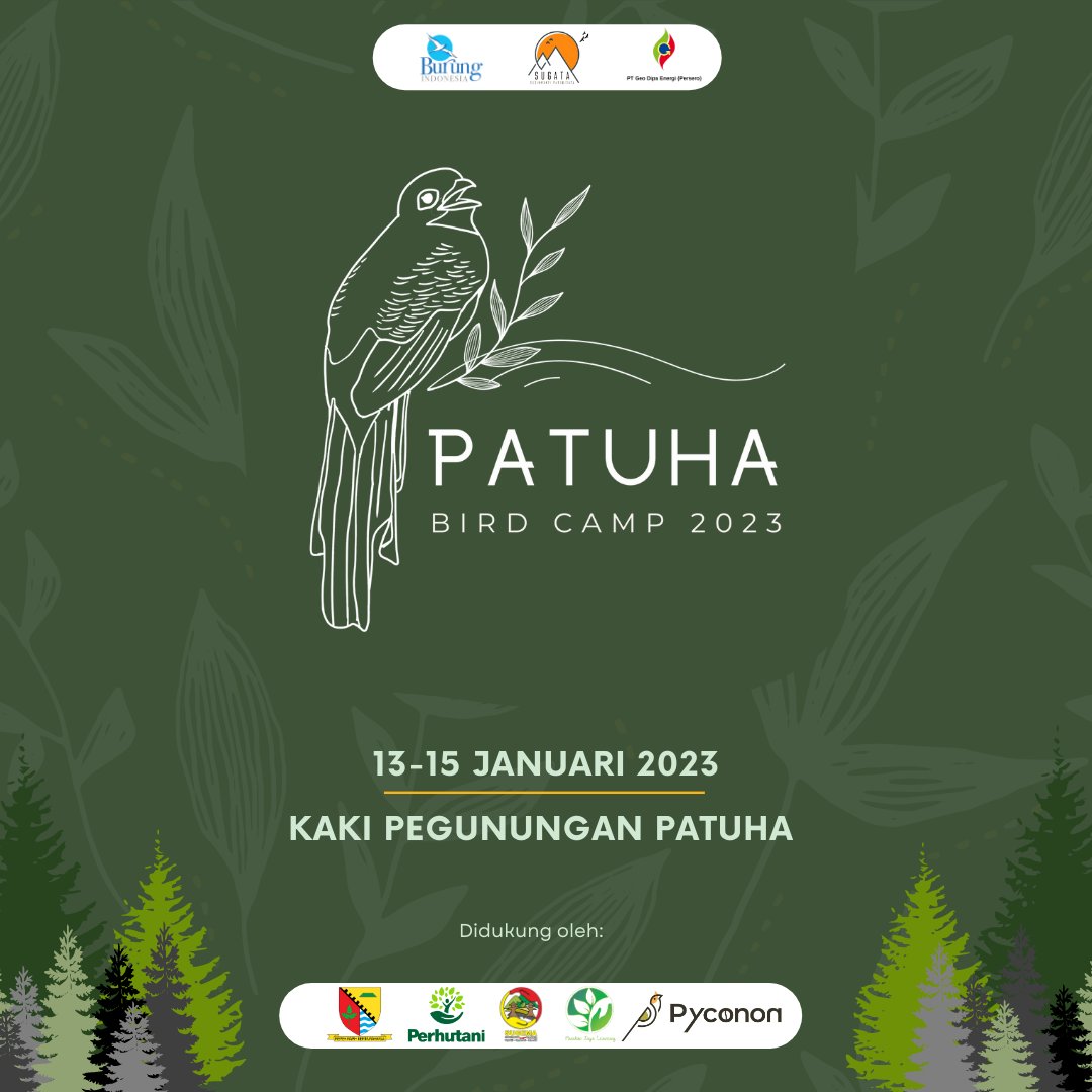 Kawasan Gunung Patuha merupakan salah satu area hutan hujan tropis pegunungan yang tersisa di Pulau Jawa. Selain keindahannya, area ini juga menjadi habitat penting bagi beragam satwa endemis.

#BurungIndonesia #gunungpatuha #PatuhaBirdCamp2023