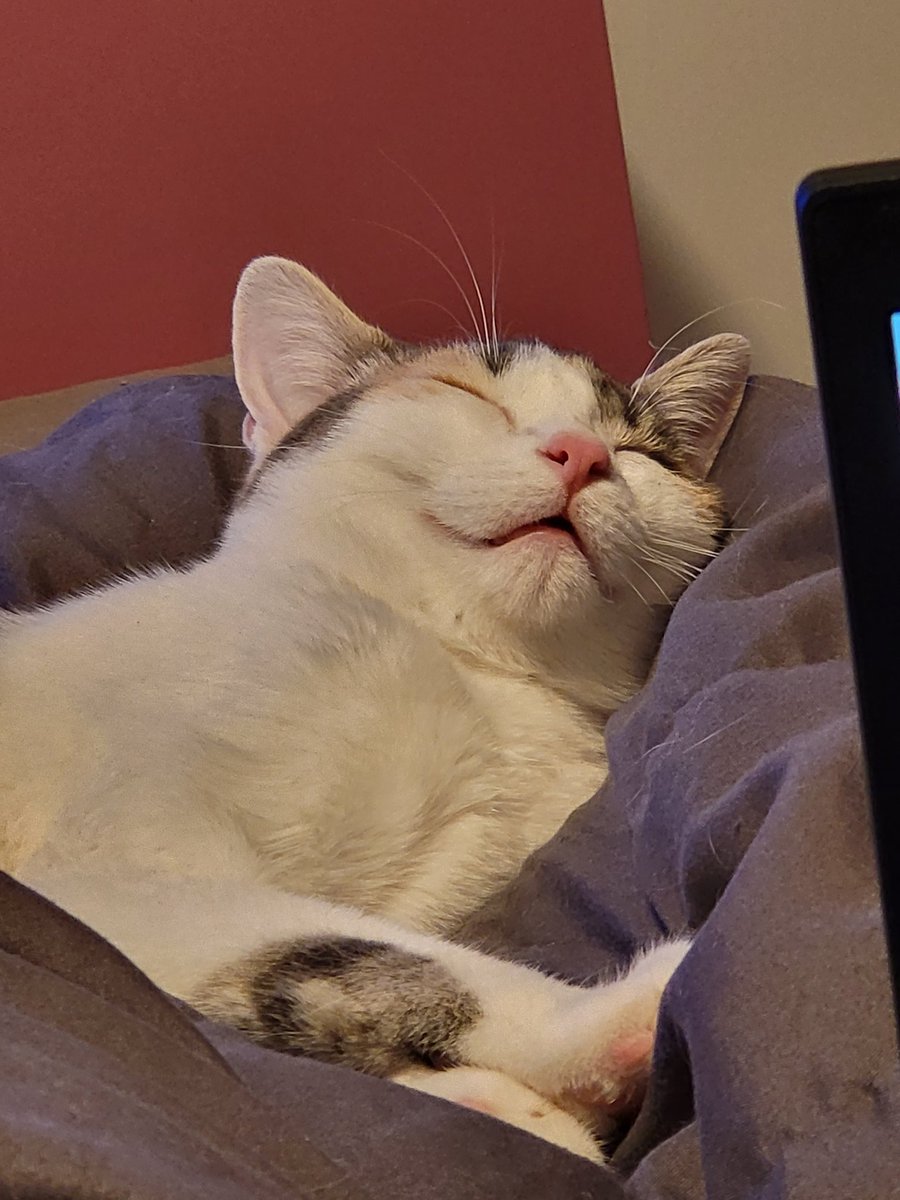 Alex they/them tweet media