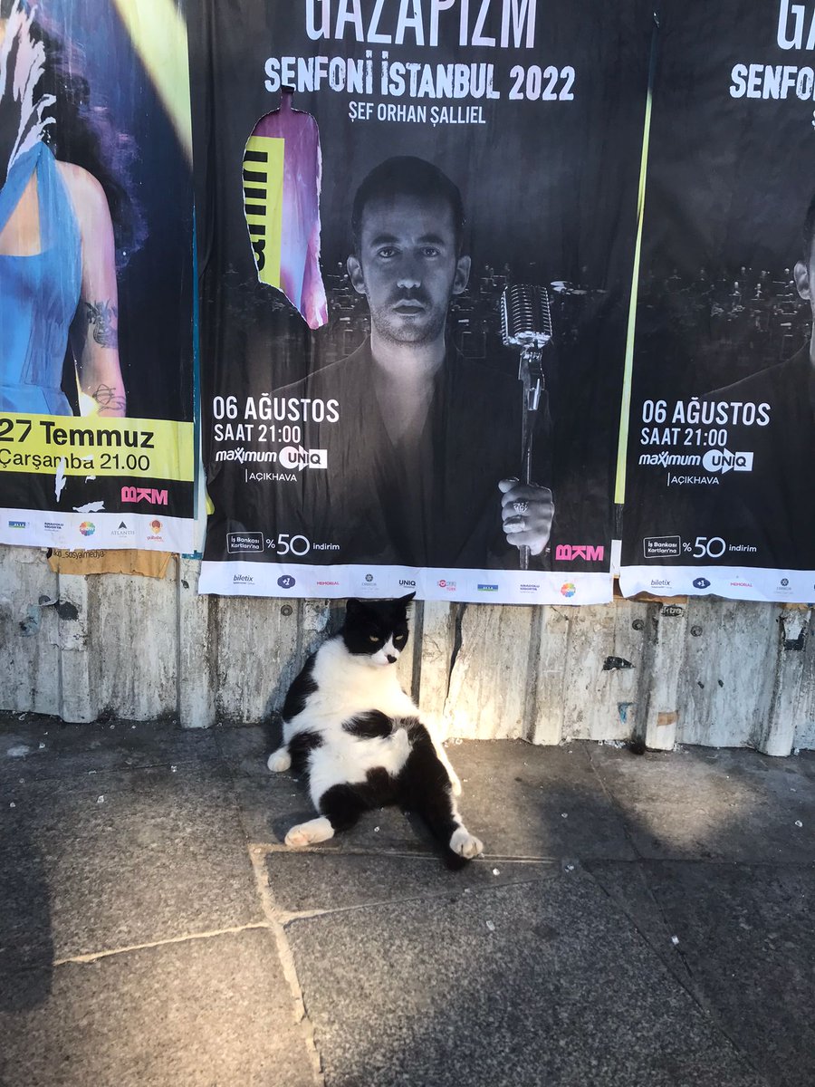 Eda Kuş tweet media