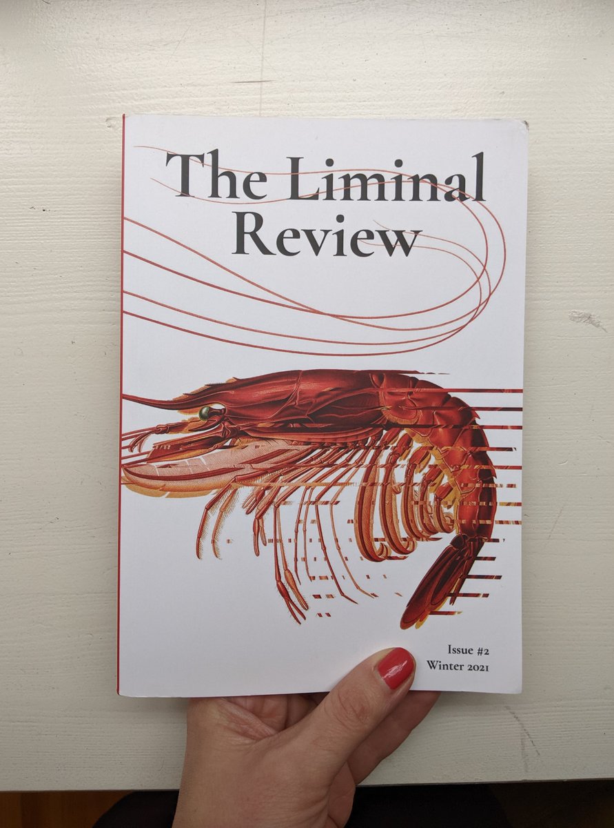 Basje Boer (@basjeboer) on Twitter photo Over wat ik (o.a.) schreef en deed in 2022:
Mijn gedicht 'The Second Beep' werd gepubliceerd in The Liminal Review (<a href="/liminal_review/">The Liminal Review</a>)
liminalreview.com Over wat ik (o.a.) schreef en deed in 2022:
Mijn gedicht 'The Second Beep' werd gepubliceerd in The Liminal Review (<a href="/liminal_review/">The Liminal Review</a>)
liminalreview.com