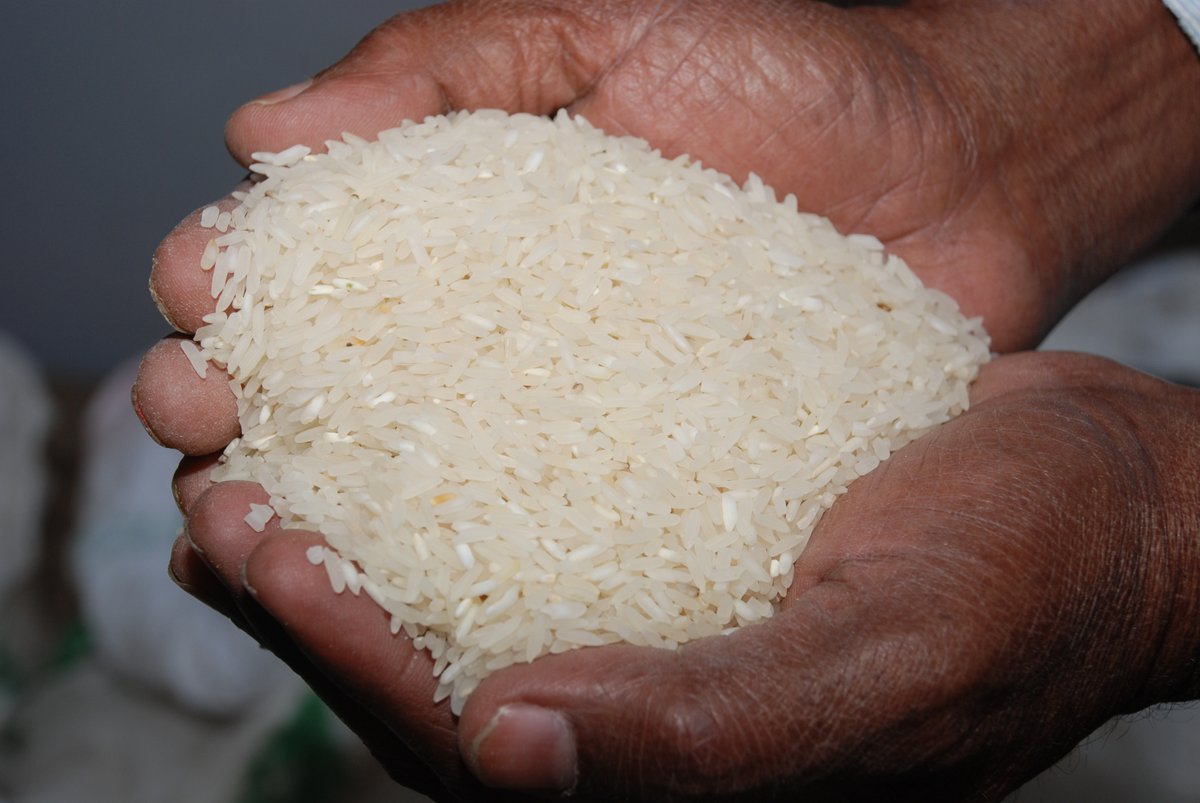 Come on over to our new page with Blog #2 - looking at #FoodSecurity & #SRI: 

sri-2030.org/blog-post/how-…🌾🌏

#rice #sustainablefoodsystem #ricefarming #SDG2 #blogpost #agriculture #blog #sustainableag