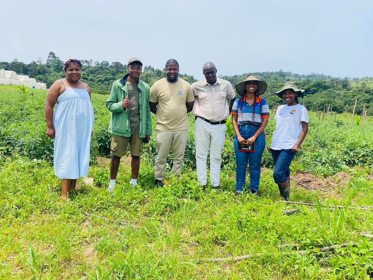 ModoP88's tweet photo. Kwakethomthandayo Farm📍
Round and Jam tomatoes, red and green cabbage, baby marrows, cucumbers and patty pans 👌🏾
💯 Black Owned 🖤
#AgriBusiness
#SheOO
#AfricanGirlChronicles https://t.co/NfZKuAZLCP