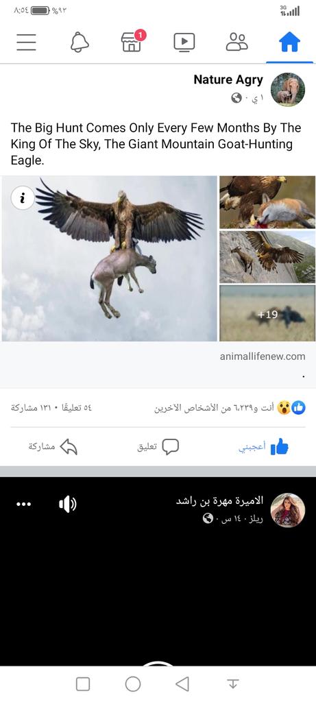 wsamali2's tweet photo. Arme🦓🥫🍿🍬🕳️ https://t.co/p90y3B6EAm