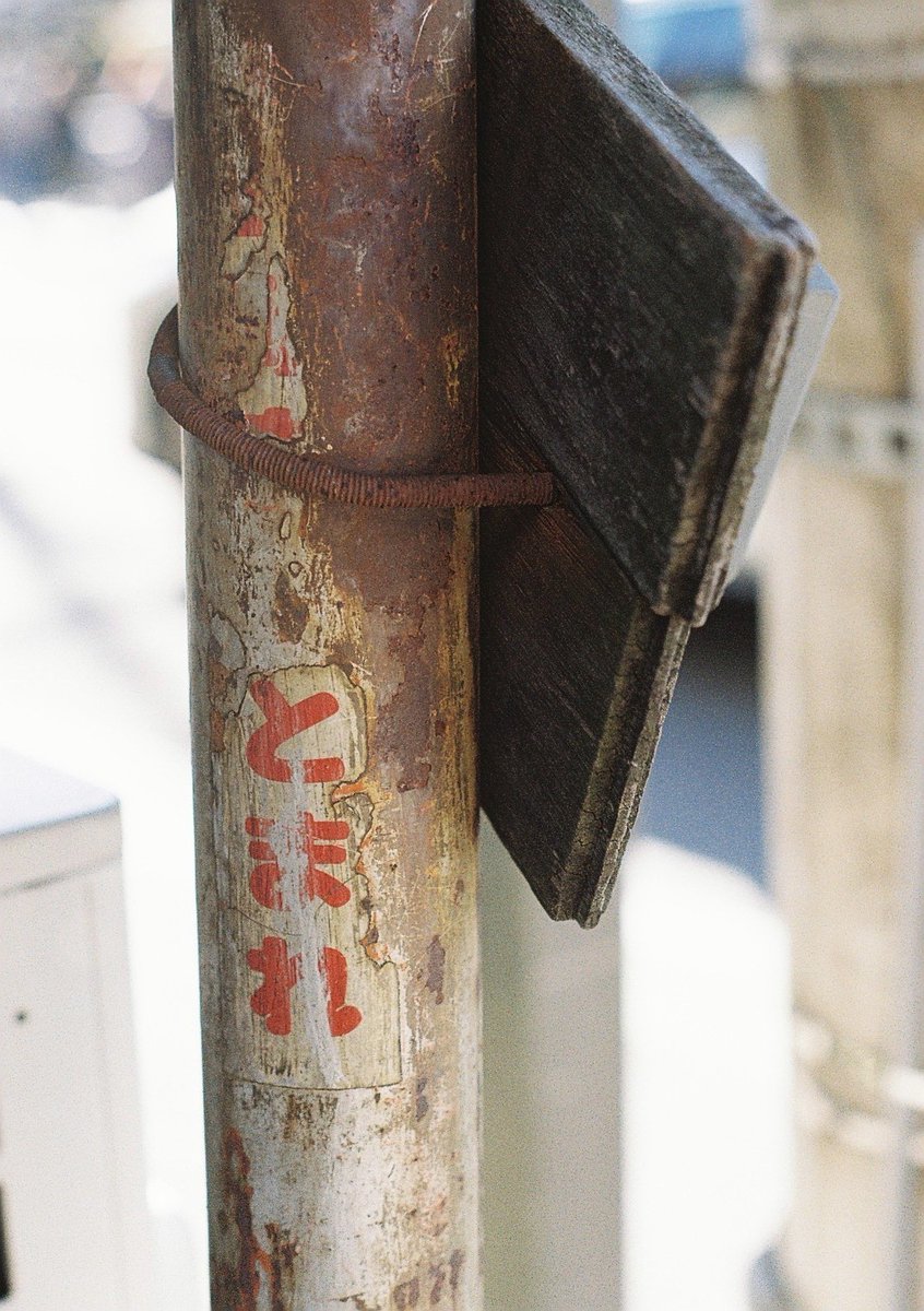 youken_sns's tweet photo. ちょっと遠出したのに撮ってるものがこんなんってどうなんだと反省。
#pentax_sp #smctakumar_55 #gold200
#pentax #filmphotography
#カメスズ https://t.co/09iiVfd2Lq