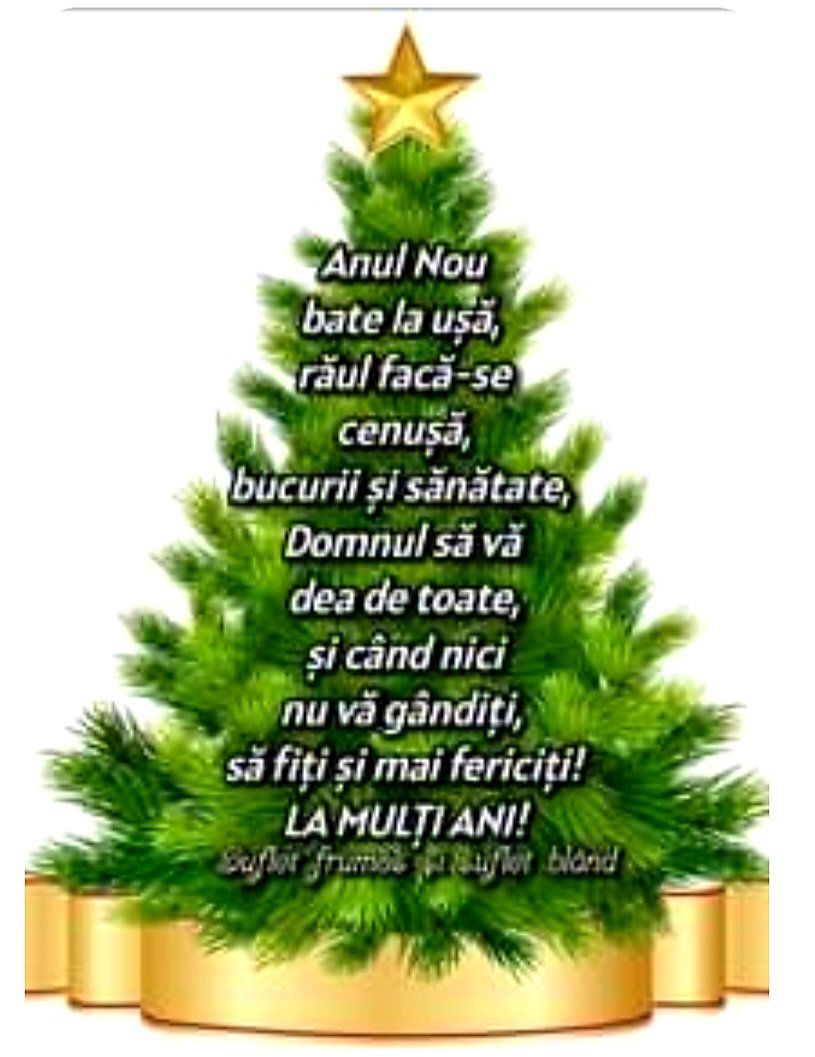 Anka.Lidia tweet media