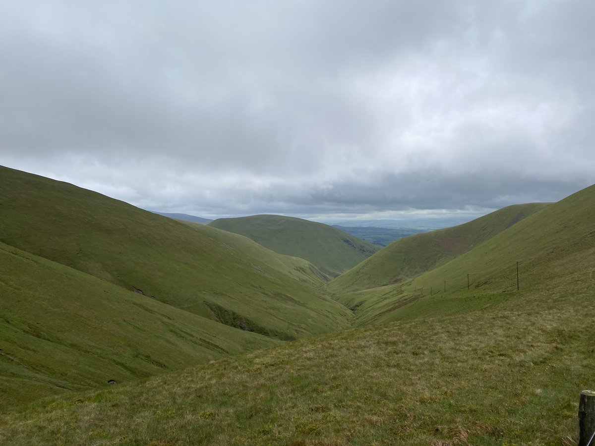 RewildScotland's tweet image. Choices. Scotland is engulfed with treeless vistas. Less than 4% of our land is covered in native woodland. #TimeToRewild