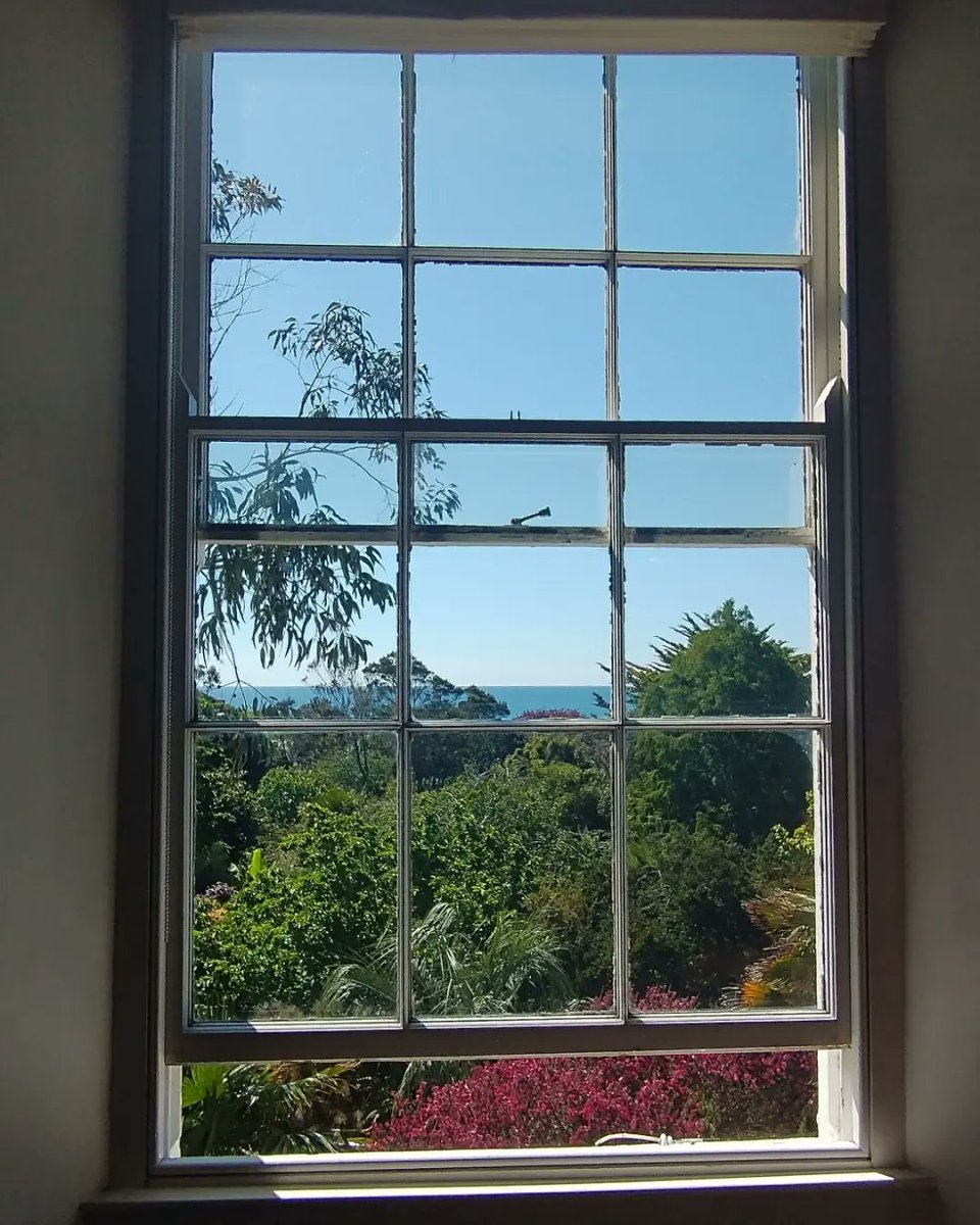 morrablibrary's tweet photo. Some more library snaps, April-August. Photos from the day to day at Morrab Library.
#independentlibrary #loveyourlibrary #librariesofinstagram https://t.co/R2Lvcpkvqt
