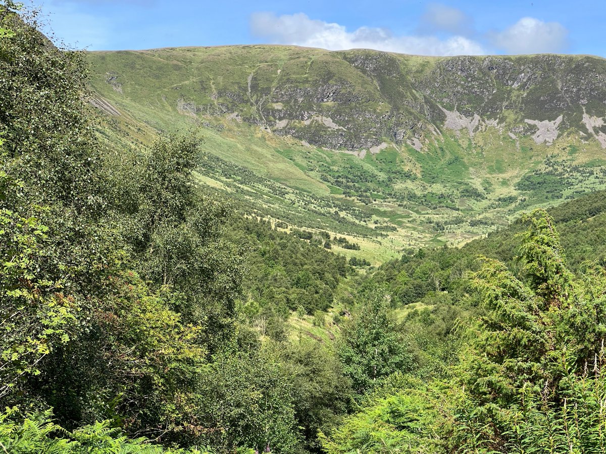 RewildScotland's tweet image. Choices. Scotland is engulfed with treeless vistas. Less than 4% of our land is covered in native woodland. #TimeToRewild