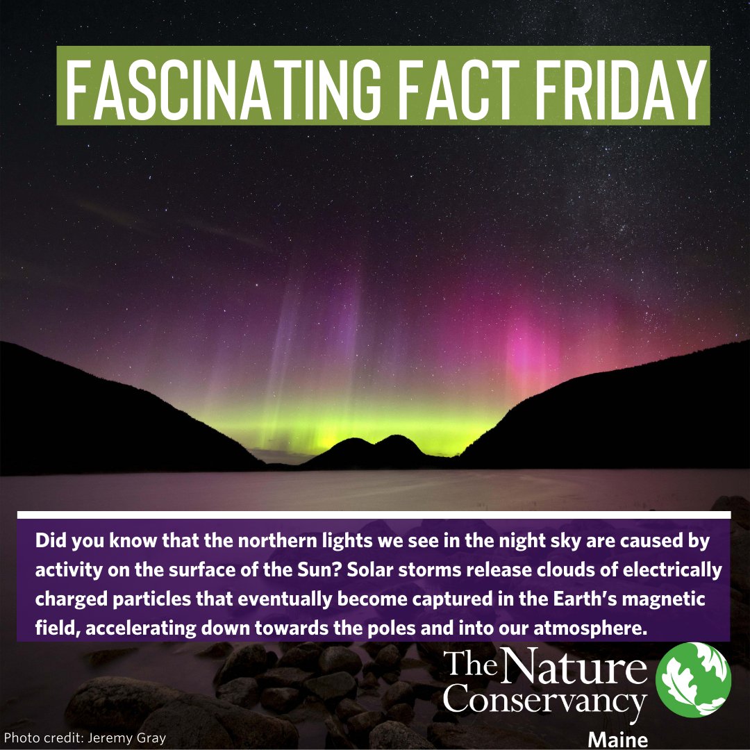 TNCmaine's tweet photo. Do you recognize where in Maine this photo was taken? Hint: it's on an island you can drive to! #FascinatingFactFriday https://t.co/cEOPISwiud