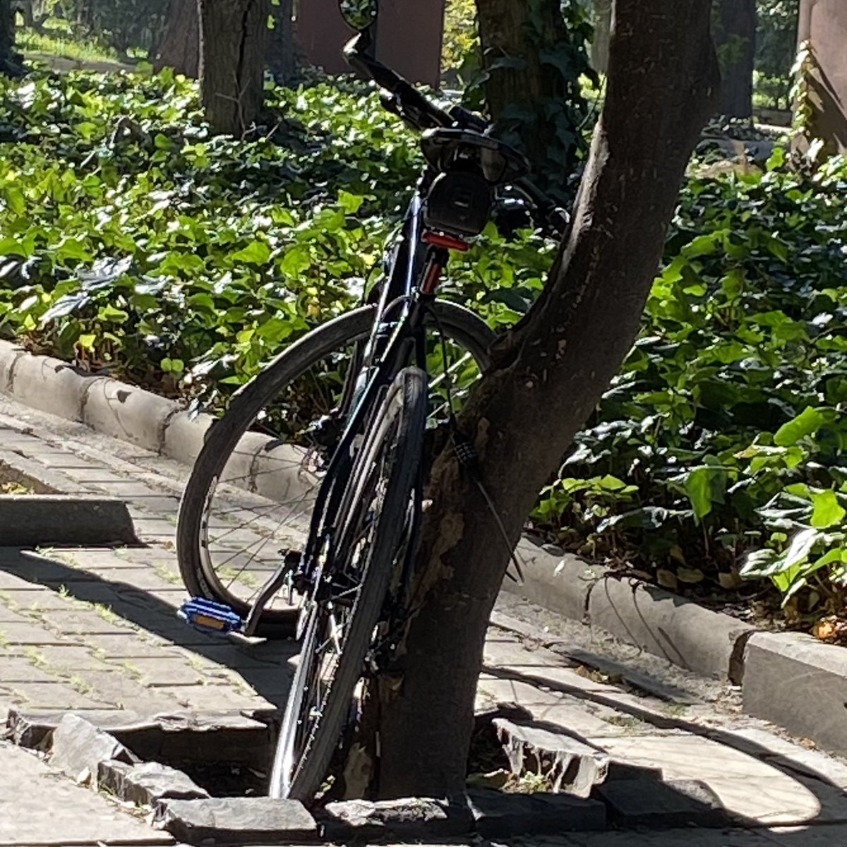 KeremAk69's tweet photo. Came to Sanat Cafe
Cafe
Ride 27.12.22
#cafe #caferacer #urbanphotography #photography #streetphotography #bikeride #Trekbikes #roadcycle #cyclinglife #cycling #bicycle #bicicleta #ciclismo #Hunter #camping #fishing #outdoors https://t.co/yJjC80lhKL
