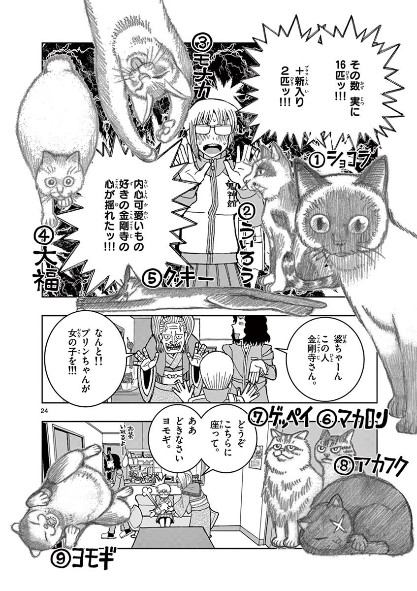 (6/11) 