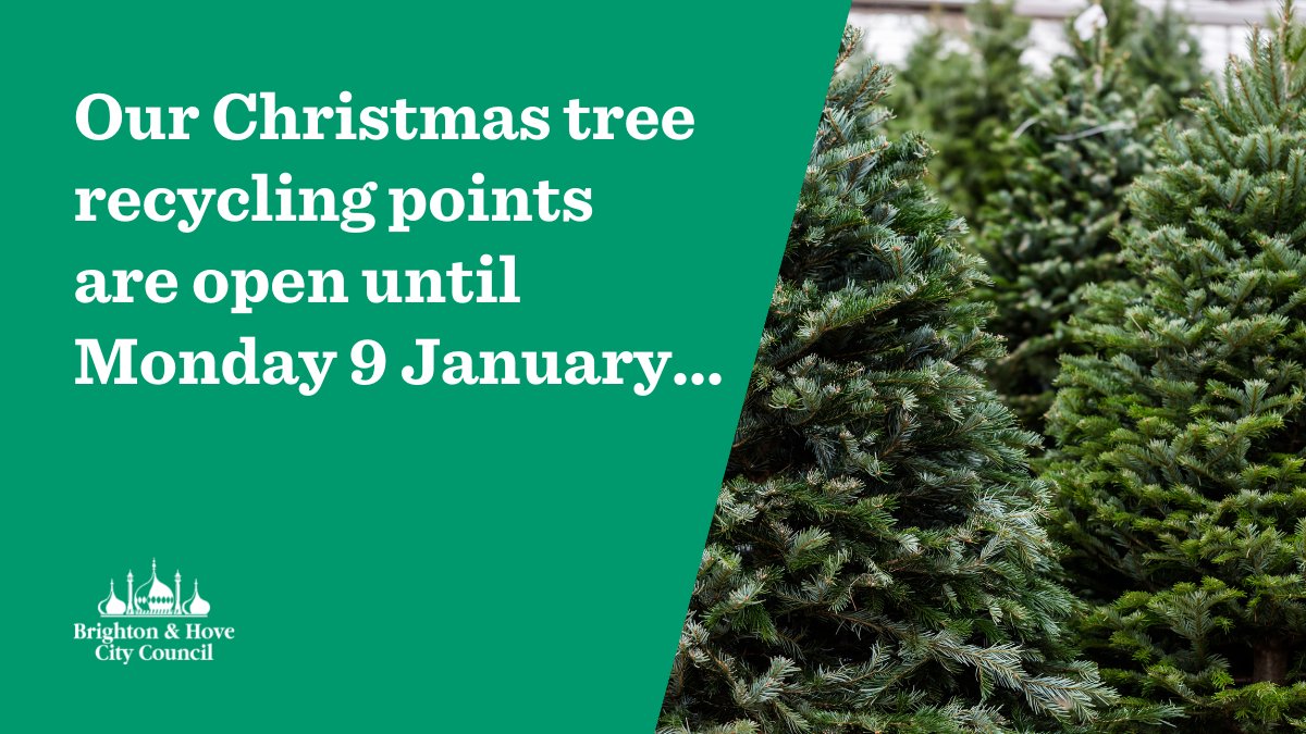 Brighton & Hove City Council (BrightonHoveCC) / Twitter