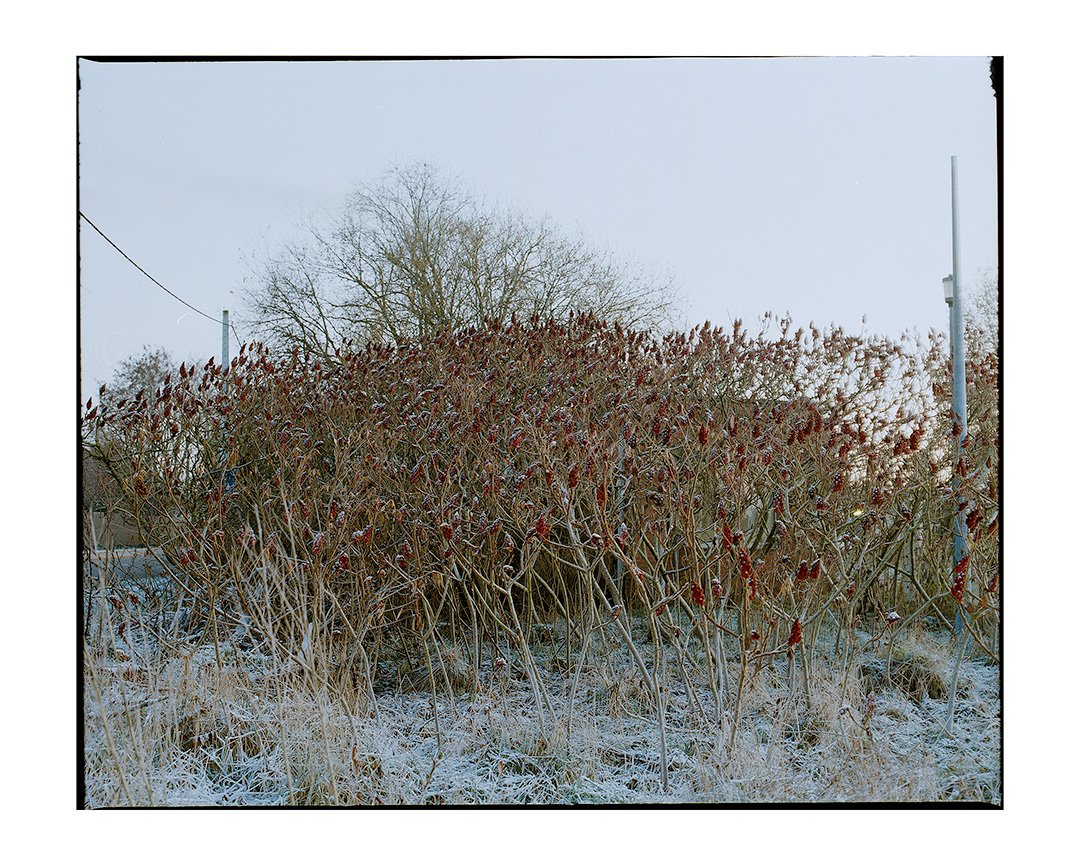 roelandhens's tweet photo. Impressions of December https://t.co/E7dLsItUw2