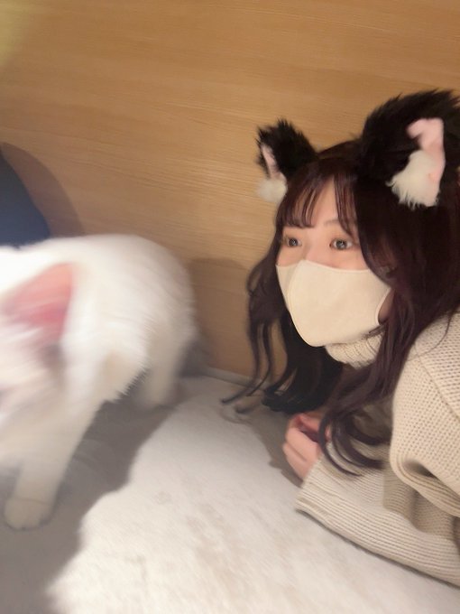 石原さきのTwitter画像32