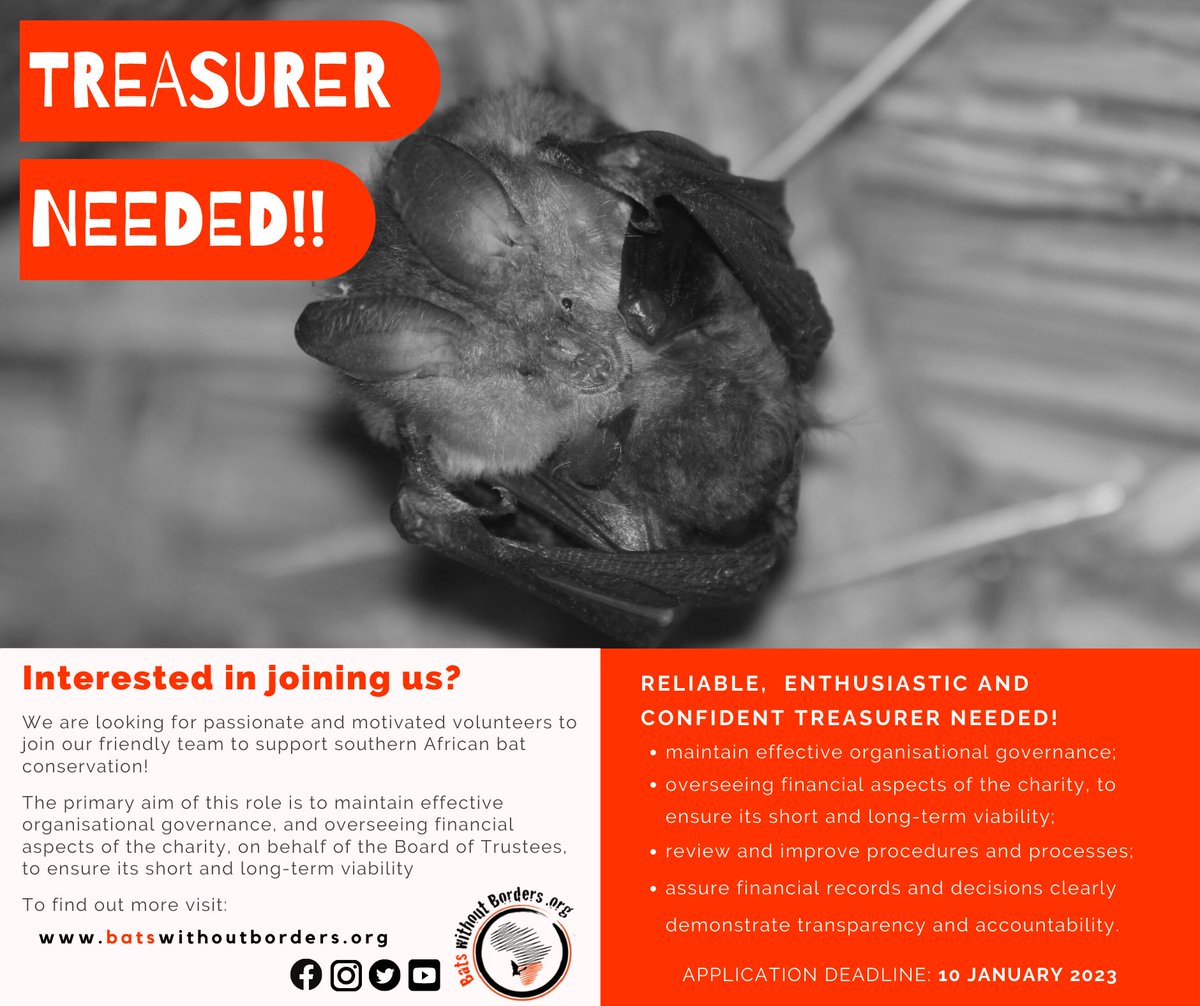 Could you be our next Treasurer Board member? It's an exciting opportunity to support our ongoing work and increase our reach and impact across southern Africa. 🦇lght.ly/3c9m6k #bats #southernAfrica #BatConservation #charity #boardmember #vacancy #apply #treasurer