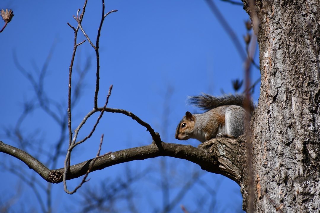 What wildlife is active near you right now? A great way to spark curiosity for the outdoors with learners of all ages! #OutdoorEd