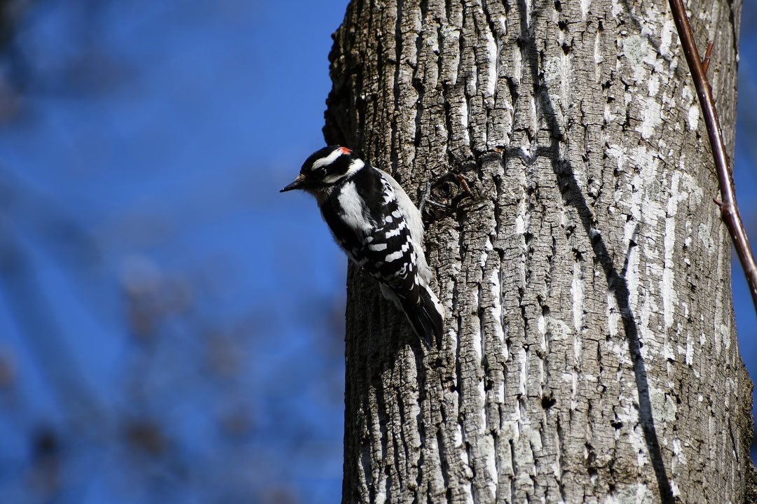 Outdoor Education Collective tweet media