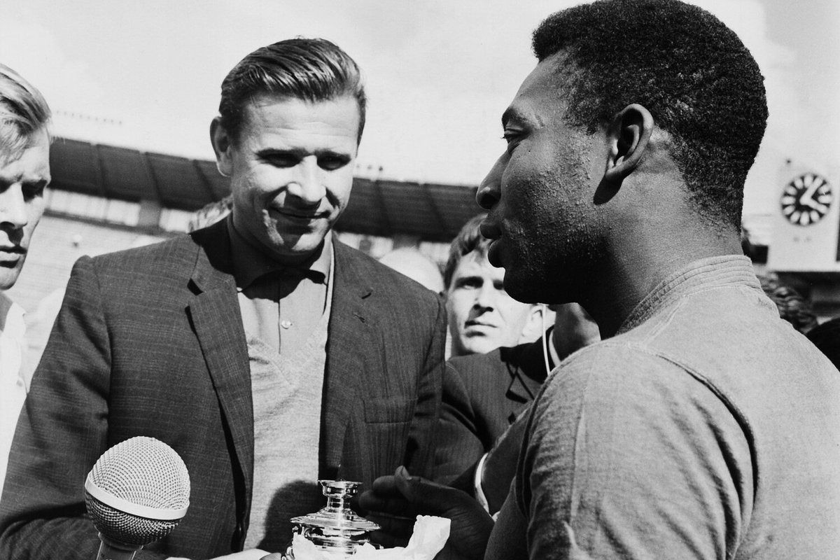 Александр Венич 🐾 tweet media