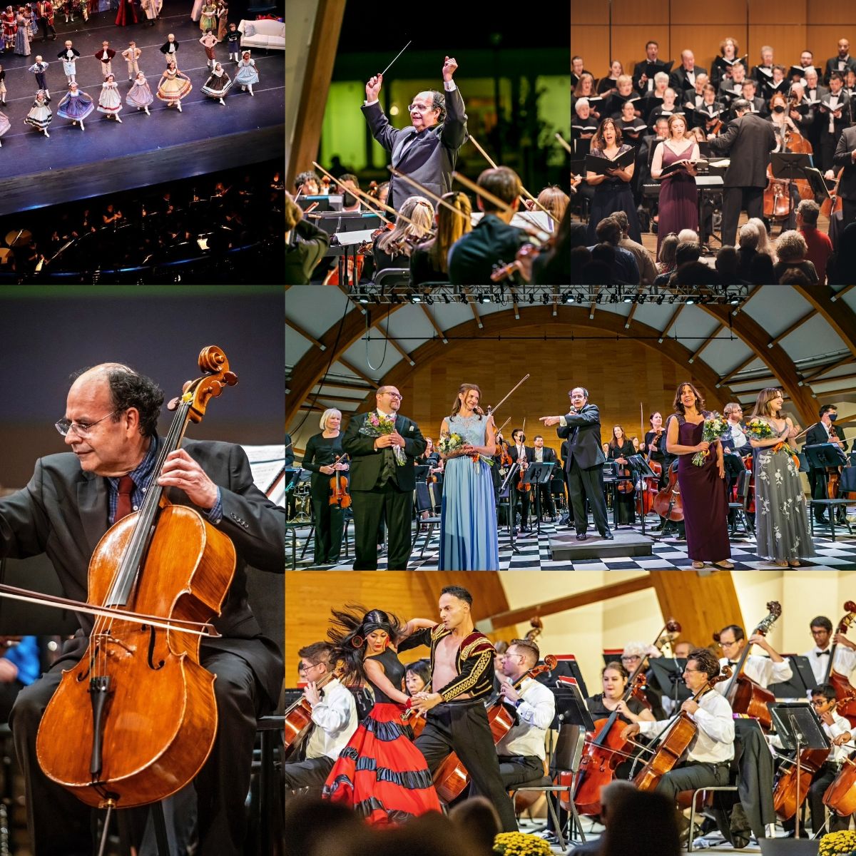 NASymphony's tweet image. Oh What a Year! 🎁💃🎺🎶🎻 - mailchi.mp/newalbanysymph…