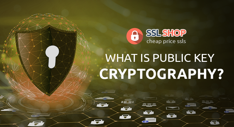 cheap_ssl_shop's tweet image. Read Out What is Public key Cryptography? 
Know more 👉:- bit.ly/3CfpDFZ
#sslcertificates #sslencryption #sslvalidation #cheapsslshop