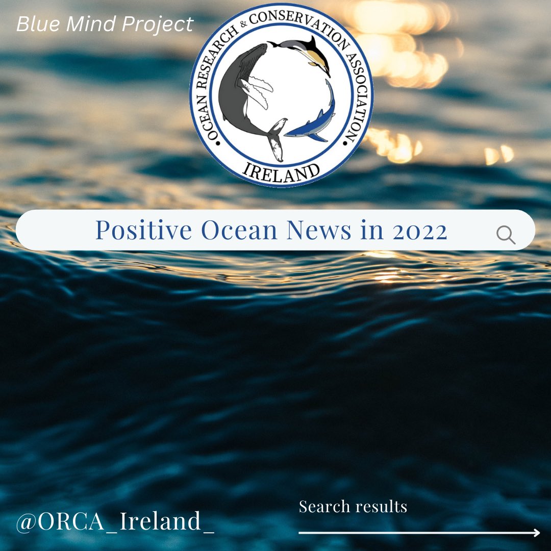 ORCA_Ireland's tweet photo. Positive News in 2022! 🤩🌊💪🧠🌍

• New MPA Legislation to achieve 10% protection by 2023! 

• Two new offshore SACs to protect deep water corals and species.

• Ireland to receive €142 million in funding 

#ORCAIreland #BlueMindProject #PositiveNews2022 #MPAs https://t.co/Wo39wwlz7K