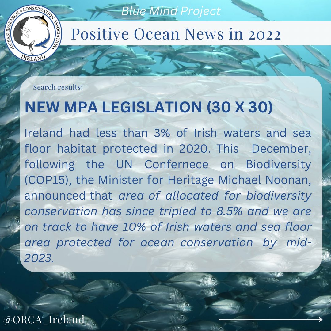 ORCA_Ireland's tweet photo. Positive News in 2022! 🤩🌊💪🧠🌍

• New MPA Legislation to achieve 10% protection by 2023! 

• Two new offshore SACs to protect deep water corals and species.

• Ireland to receive €142 million in funding 

#ORCAIreland #BlueMindProject #PositiveNews2022 #MPAs https://t.co/Wo39wwlz7K