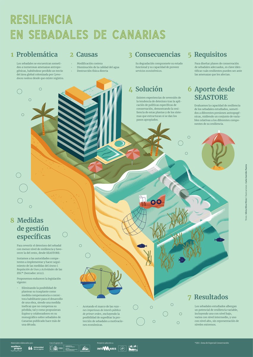 Potencial de resiliencia de los sebadales estudiados en SEASTORE
#SeagrassResilience #Sebadales
Con el apoyo de 
<a href="/FBiodiversidad/">Fundación Biodiversidad</a>
<a href="/ULL/">Universidad de La Laguna</a> 
Coordinación, idea original y textos 
<a href="/Silvia_OlivaP/">Silvia Oliva</a>
Dir. arte 
<a href="/BandaBisagra/">BandaBisagra</a>
<a href="/Silvia_OlivaP/">Silvia Oliva</a>
Ilustraciones Carla Garrido
youtu.be/9xur_lsbM8w