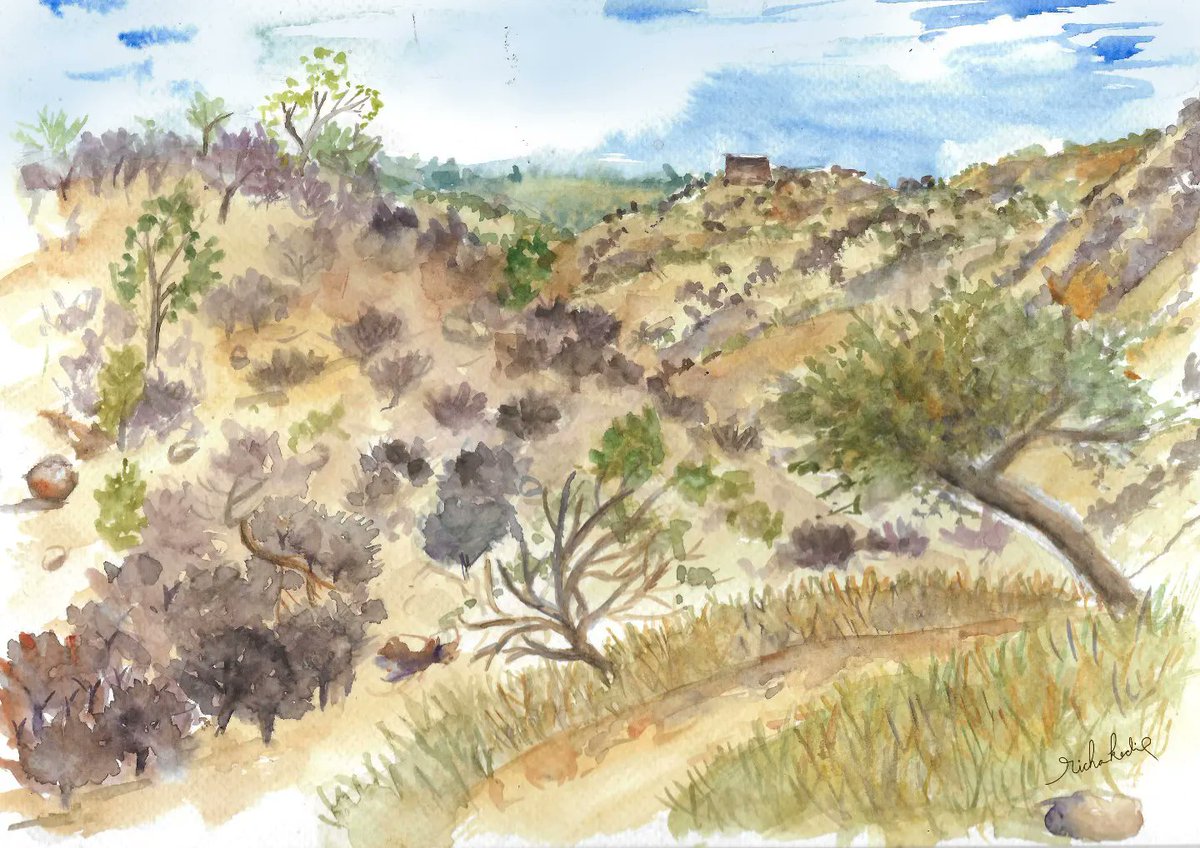 Dhau landscape ❤️
A runner tree with connected roots covering the entire hill slope.

#livesketching #urbansketching #watercolorpainting  #rajasthantourism #shekhawati #desertlandscape #aravalivegetation #TwitterNatureCommunity #IndiAves