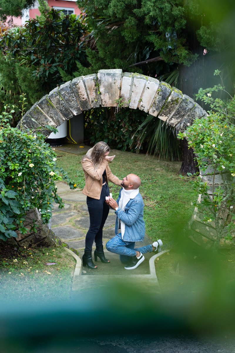 🏰Castle tweet media