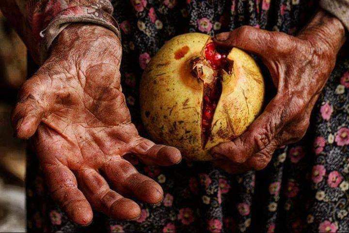 القوة التي تضَع حبّات الرمانِ ، واحدةً واحدةً داخلَ قِشرتها ، تعلمُ في أيّ قلب تَضعك ، فلا تقلق.🌹