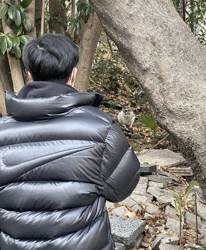 RapJonnie's tweet photo. 어떻게 지내세요 https://t.co/sJYB7lluma