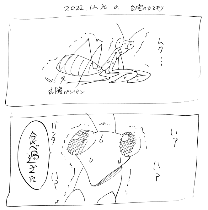 今日の昼間のカマキリ。
夜になったら天板に上ってた。 