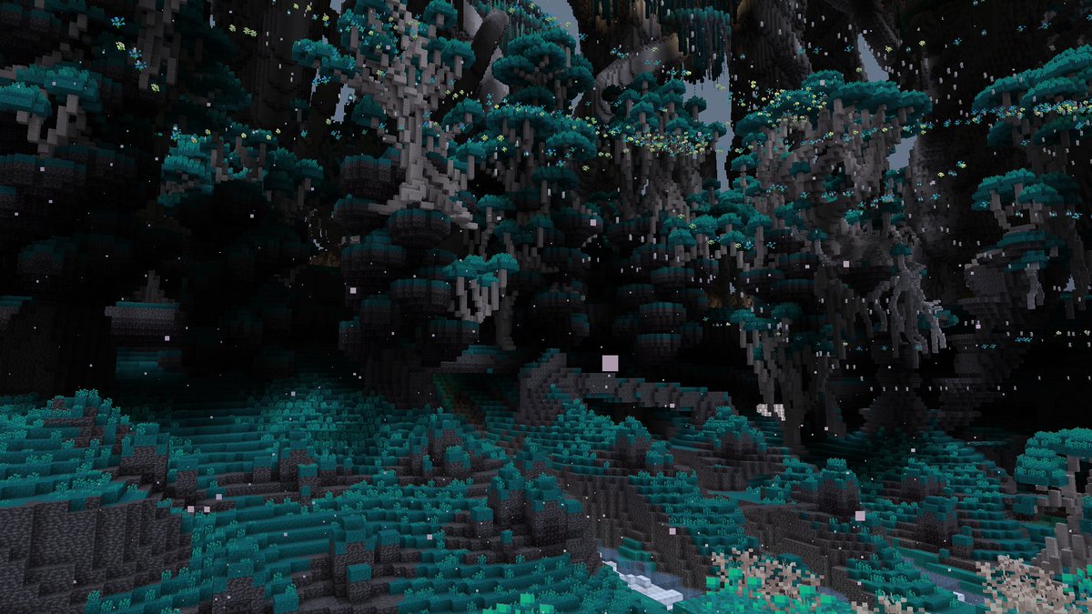 Evan Kim tweet media