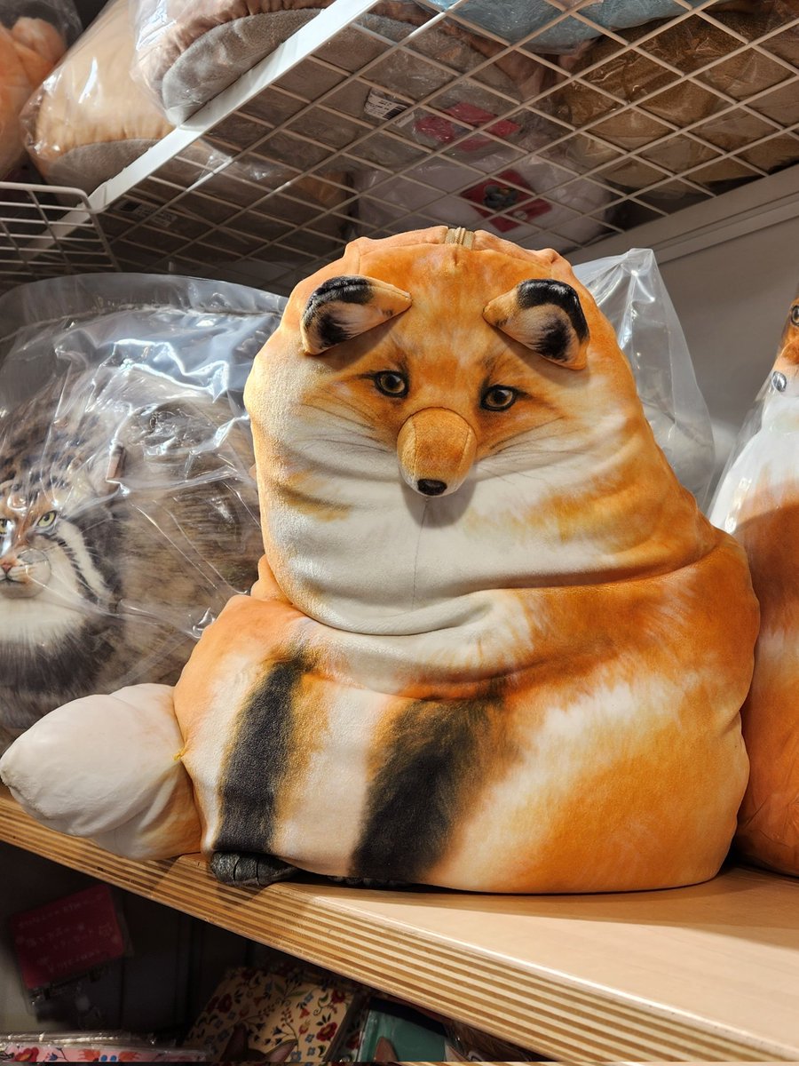 Captain_Otter's tweet image. Snorf snorf