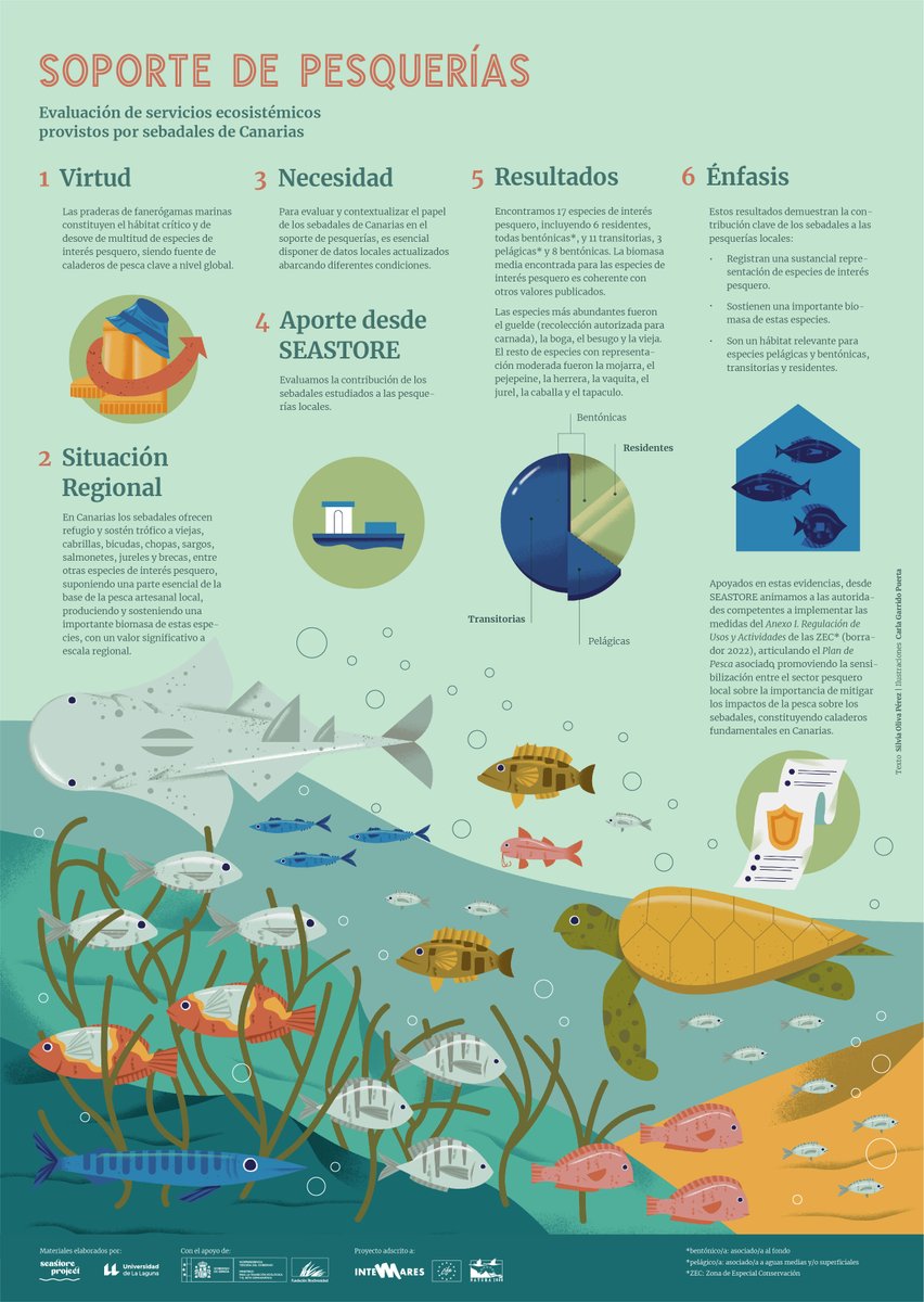 Servicios ecosistémicos provistos por los sebadales estudiados en SEASTORE: SOPORTE DE PESQUERÍAS
#seagrass
Con el apoyo de <a href="/FBiodiversidad/">Fundación Biodiversidad</a>
<a href="/ULL/">Universidad de La Laguna</a> 
Coord., idea original y textos <a href="/Silvia_OlivaP/">Silvia Oliva</a>

Dir. arte <a href="/BandaBisagra/">BandaBisagra</a> <a href="/Silvia_OlivaP/">Silvia Oliva</a>
Ilustra Carla Garrido
youtu.be/tkPHT689DFY