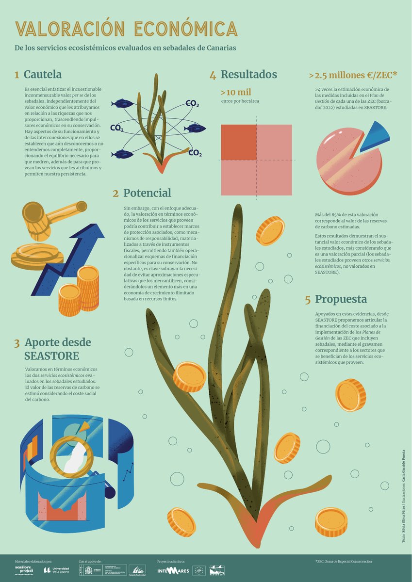 Valoración en términos económicos de los sebadales estudiados en SEASTORE
#Seagrass #NaturalCapital #Sebadal
Con el apoyo de <a href="/FBiodiversidad/">Fundación Biodiversidad</a> 
<a href="/ULL/">Universidad de La Laguna</a>  
Coord., idea original y textos <a href="/Silvia_OlivaP/">Silvia Oliva</a>
Dir. arte <a href="/BandaBisagra/">BandaBisagra</a> <a href="/Silvia_OlivaP/">Silvia Oliva</a>
Ilustra Carla Garrido
youtu.be/x2gjNQEpiD0