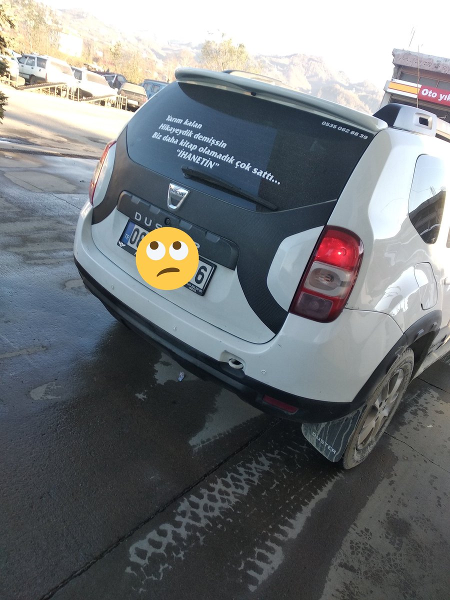 Şair burada ne anlatmak istemiş...