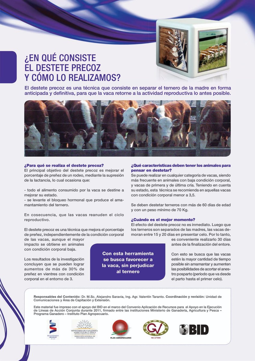 PlanAgro's tweet photo. #DestetePrecoz es 1 opción a tener en cuenta para que las vacas vuelvan a la actividad reproductiva lo antes posible y se preñen.
#Ganadería #entore #preñez #vacunos #DéficitForrajero @ecarriuy @cmolina411 #PlanAgropecuario https://t.co/z9G2l96XPp