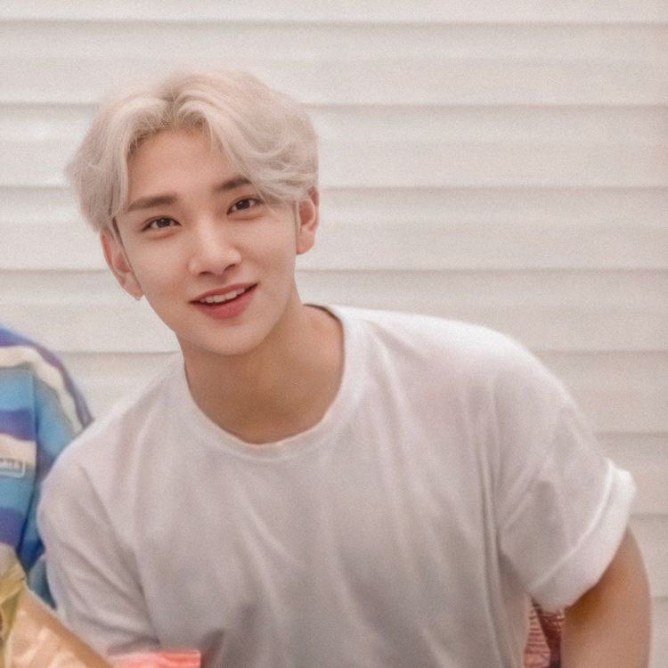 user not found tweet media