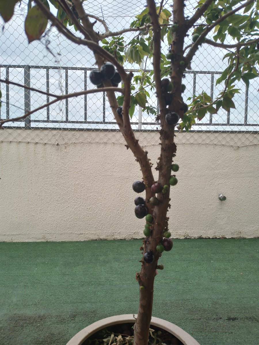 RJA13News🌹🚩 tweet media